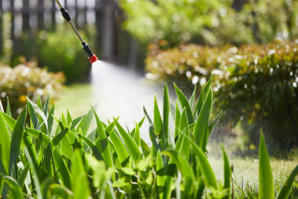 24/7 Emergency Mosquito Control experts in Springdale, OH