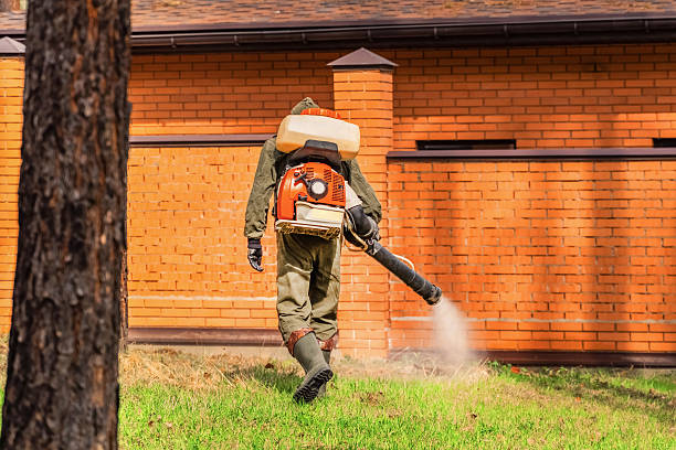 Top rated local Mosquito Control specialists in Springdale, OH